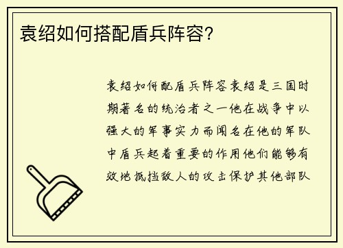 袁绍如何搭配盾兵阵容？